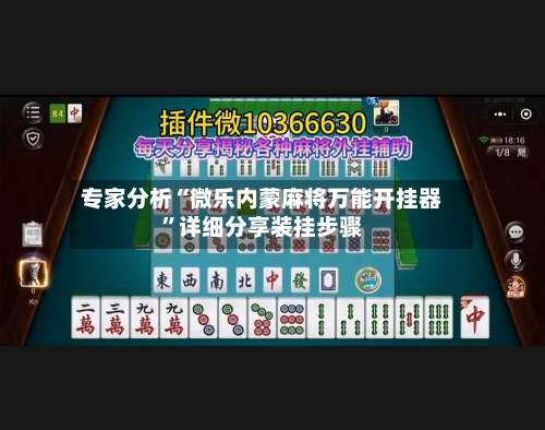 专家分析“微乐内蒙麻将万能开挂器”详细分享装挂步骤-第2张图片