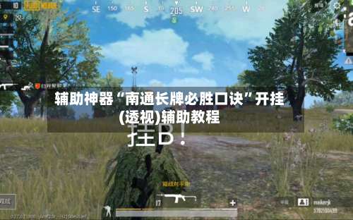 辅助神器“南通长牌必胜口诀”开挂(透视)辅助教程-第3张图片