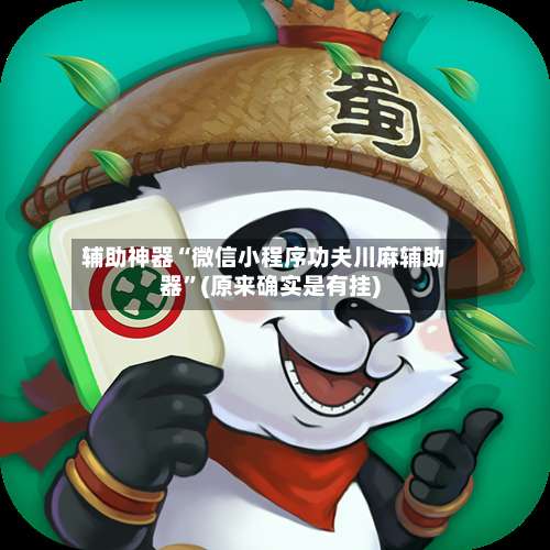 辅助神器“微信小程序功夫川麻辅助器	”(原来确实是有挂)-第2张图片
