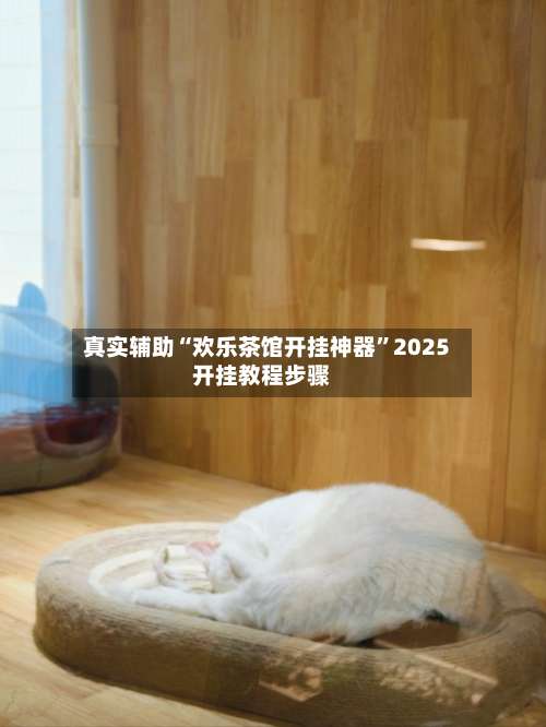 真实辅助“欢乐茶馆开挂神器	”2025开挂教程步骤-第3张图片