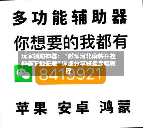 玩家辅助神器：“微乐河北麻将开挂神器下载安装	”详细分享装挂步骤教程-第2张图片