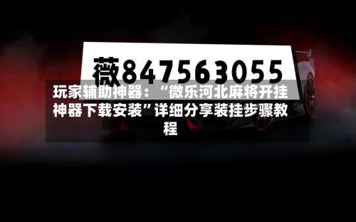 玩家辅助神器：“微乐河北麻将开挂神器下载安装”详细分享装挂步骤教程-第3张图片