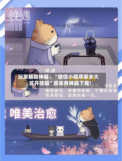 玩家辅助神器：“微信小程序家乡大贰开挂器”原来有神器下载!-第1张图片