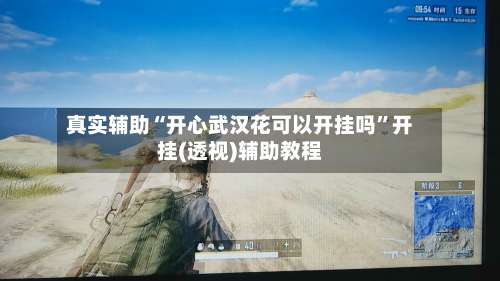 真实辅助“开心武汉花可以开挂吗	”开挂(透视)辅助教程-第2张图片