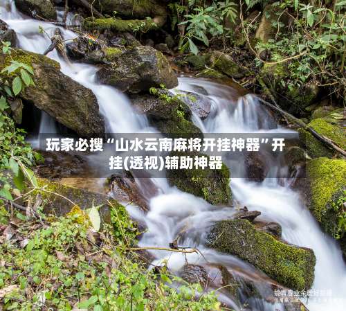 玩家必搜“山水云南麻将开挂神器”开挂(透视)辅助神器-第2张图片