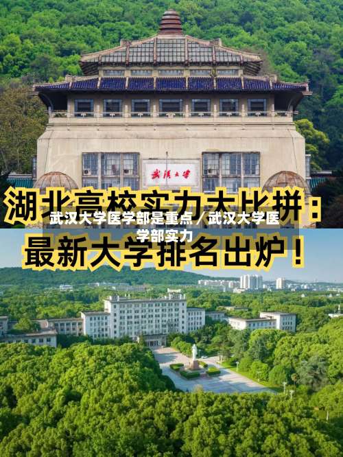 武汉大学医学部是重点／武汉大学医学部实力-第1张图片