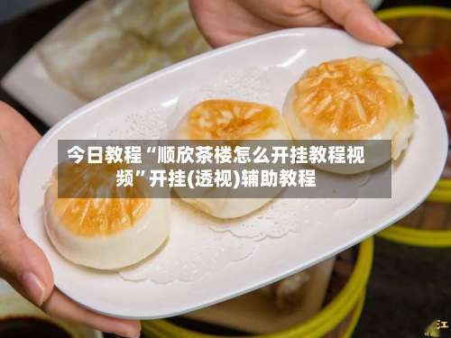 今日教程“顺欣茶楼怎么开挂教程视频”开挂(透视)辅助教程-第3张图片