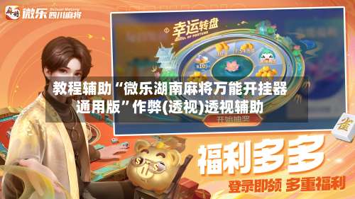 教程辅助“微乐湖南麻将万能开挂器通用版”作弊(透视)透视辅助-第3张图片