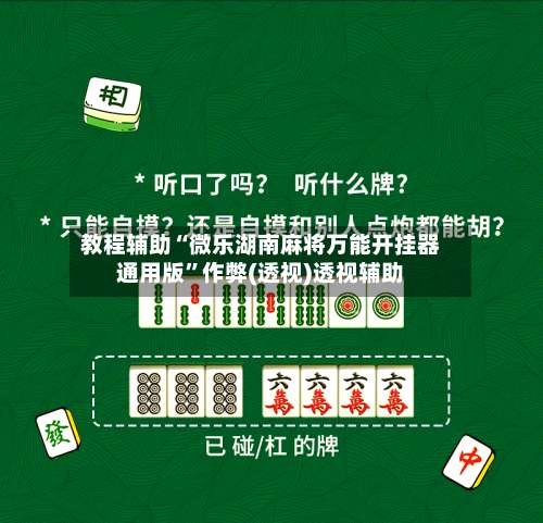 教程辅助“微乐湖南麻将万能开挂器通用版	”作弊(透视)透视辅助-第1张图片