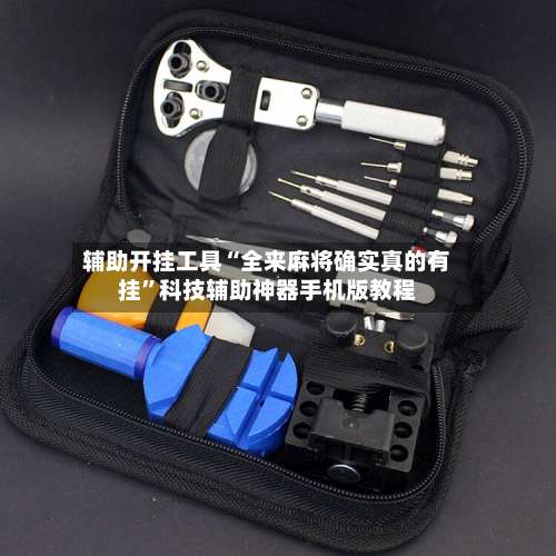 辅助开挂工具“全来麻将确实真的有挂	”科技辅助神器手机版教程-第2张图片