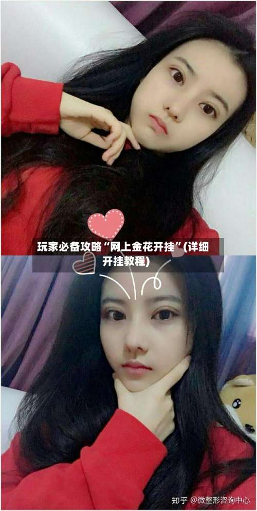 玩家必备攻略“网上金花开挂	”(详细开挂教程)-第2张图片