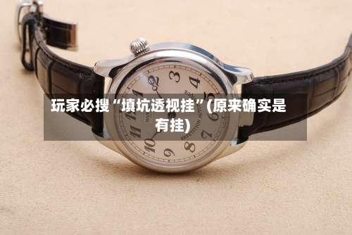 玩家必搜“填坑透视挂	”(原来确实是有挂)-第1张图片