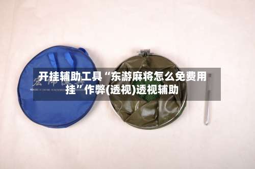 开挂辅助工具“东游麻将怎么免费用挂”作弊(透视)透视辅助-第1张图片