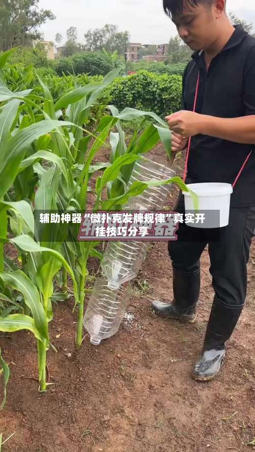 辅助神器“微扑克发牌规律”真实开挂技巧分享-第2张图片