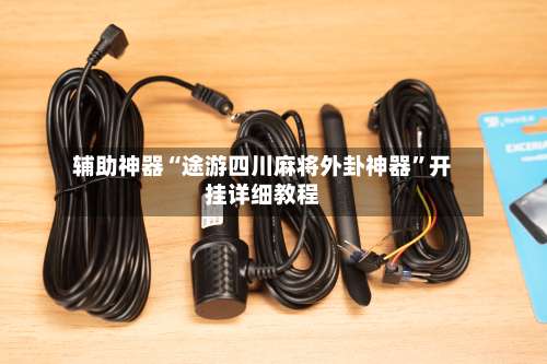 辅助神器“途游四川麻将外卦神器	”开挂详细教程-第1张图片