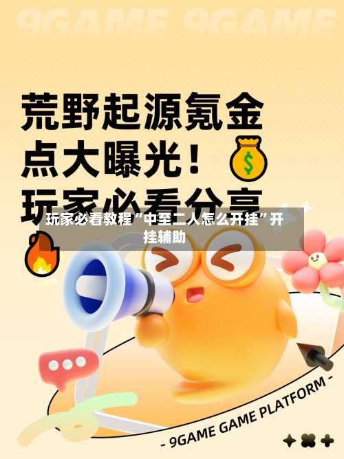 玩家必看教程“中至二人怎么开挂”开挂辅助-第3张图片