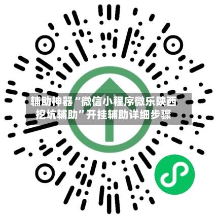 辅助神器“微信小程序微乐陕西挖坑辅助”开挂辅助详细步骤-第3张图片