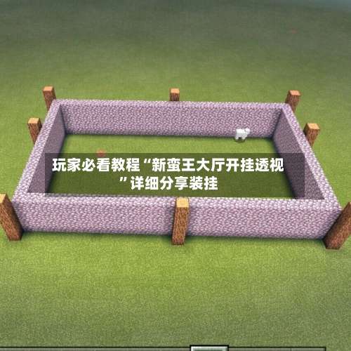 玩家必看教程“新蛮王大厅开挂透视	”详细分享装挂-第2张图片