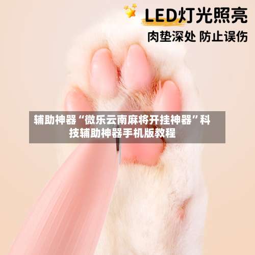 辅助神器“微乐云南麻将开挂神器	”科技辅助神器手机版教程-第2张图片