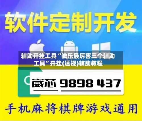 辅助开挂工具“微乐最厉害三个辅助工具”开挂(透视)辅助教程-第2张图片