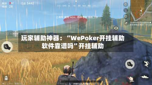 玩家辅助神器：“WePoker开挂辅助软件靠谱吗”开挂辅助-第2张图片