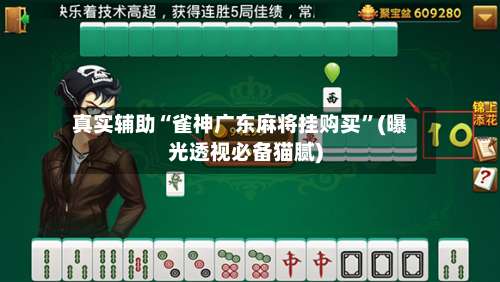 真实辅助“雀神广东麻将挂购买	”(曝光透视必备猫腻)-第1张图片