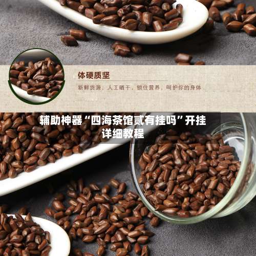 辅助神器“四海茶馆贰有挂吗	”开挂详细教程-第2张图片