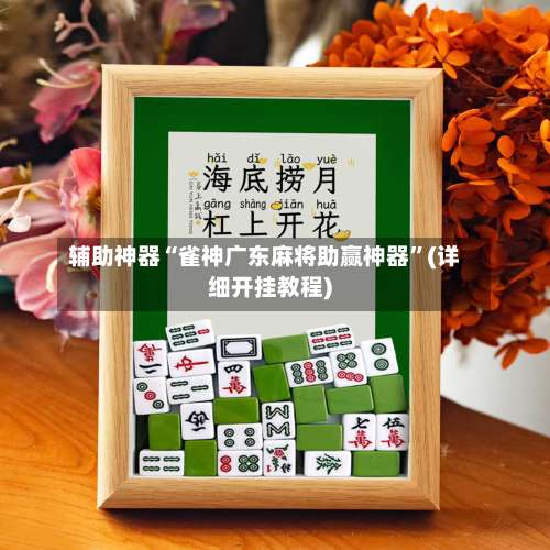 辅助神器“雀神广东麻将助赢神器	”(详细开挂教程)-第2张图片