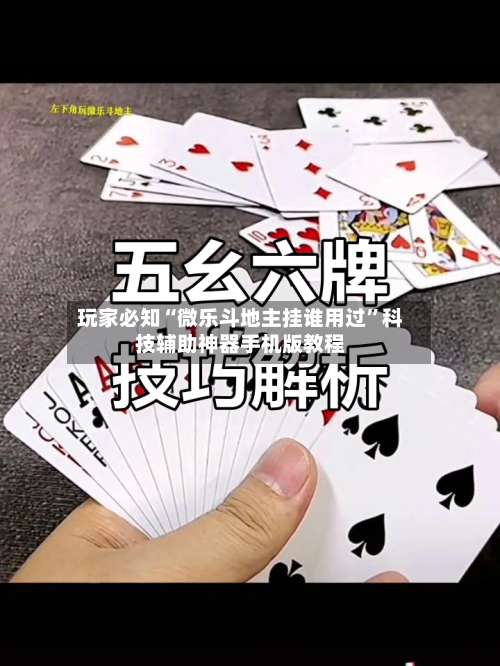 玩家必知“微乐斗地主挂谁用过”科技辅助神器手机版教程-第2张图片