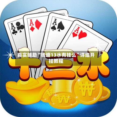真实辅助“钱塘13水有挂么”详细开挂教程-第3张图片