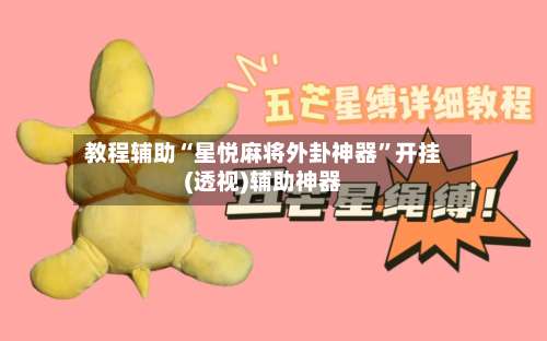 教程辅助“星悦麻将外卦神器”开挂(透视)辅助神器-第3张图片