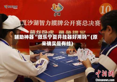 辅助神器“微乐宁夏开挂器好用吗	”(原来确实是有挂)-第1张图片