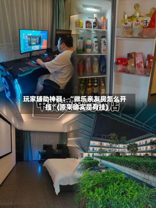 玩家辅助神器：“微乐亲友房怎么开挂”(原来确实是有挂)-第1张图片