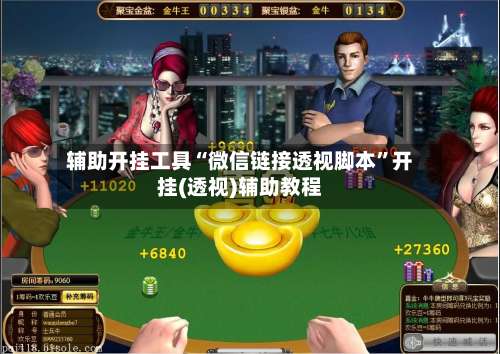 辅助开挂工具“微信链接透视脚本”开挂(透视)辅助教程-第3张图片