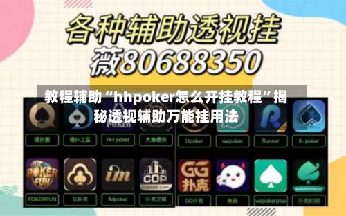 教程辅助“hhpoker怎么开挂教程”揭秘透视辅助万能挂用法-第3张图片