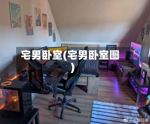 宅男卧室(宅男卧室图)-第2张图片