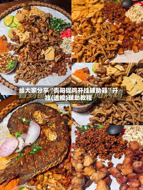 给大家分享“贵阳捉鸡开挂辅助器”开挂(透视)辅助教程-第1张图片