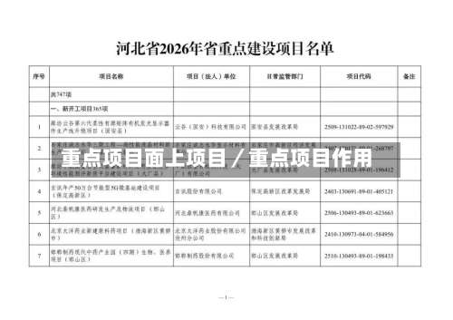 重点项目面上项目／重点项目作用-第1张图片