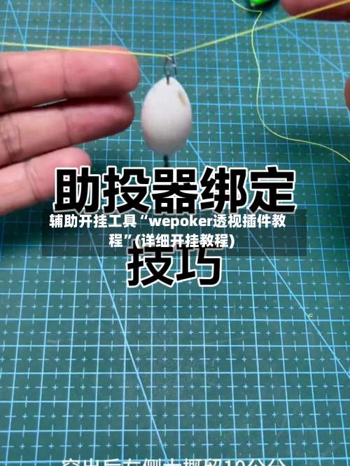 辅助开挂工具“wepoker透视插件教程”(详细开挂教程)-第3张图片