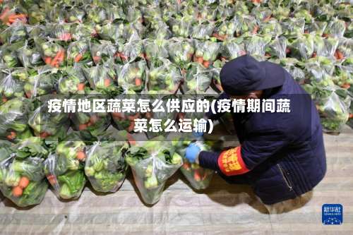 疫情地区蔬菜怎么供应的(疫情期间蔬菜怎么运输)-第3张图片