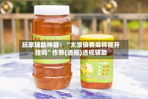 玩家辅助神器：“太浪镇赉麻将能开挂吗”作弊(透视)透视辅助-第1张图片