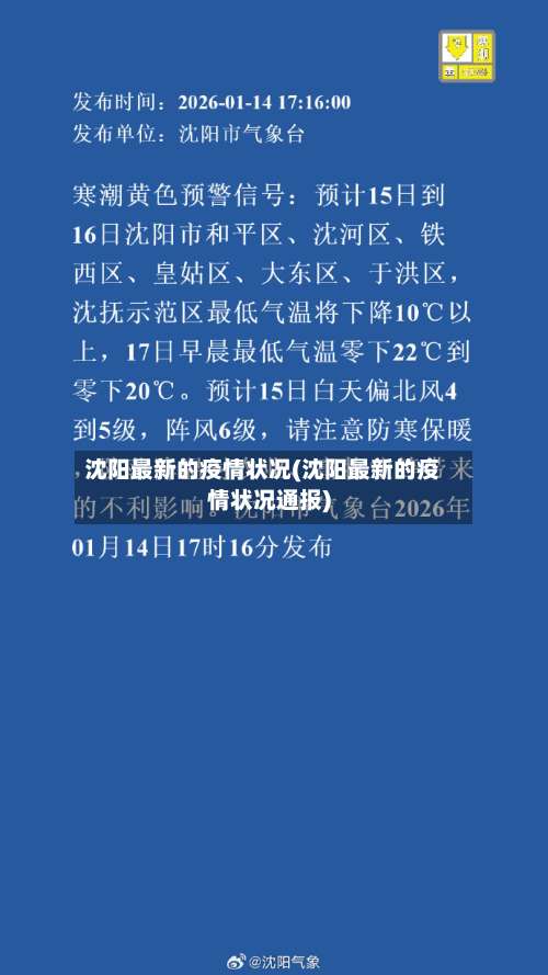 沈阳最新的疫情状况(沈阳最新的疫情状况通报)-第2张图片