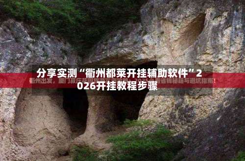 分享实测“衢州都莱开挂辅助软件”2026开挂教程步骤-第1张图片