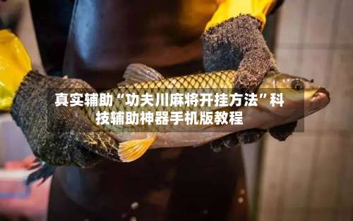 真实辅助“功夫川麻将开挂方法”科技辅助神器手机版教程-第2张图片