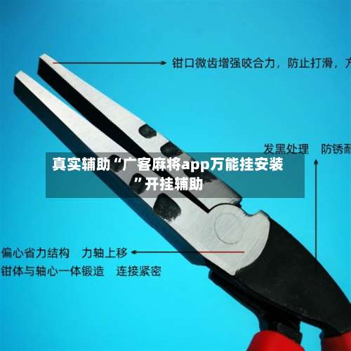 真实辅助“广客麻将app万能挂安装	”开挂辅助-第1张图片