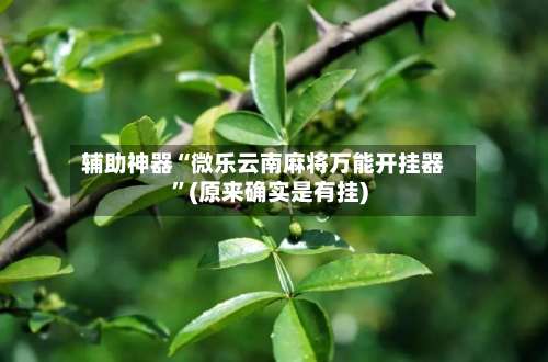 辅助神器“微乐云南麻将万能开挂器	”(原来确实是有挂)-第1张图片