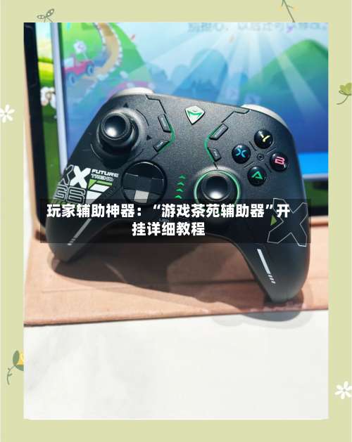 玩家辅助神器：“游戏茶苑辅助器”开挂详细教程-第2张图片