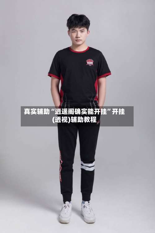 真实辅助“逍遥阁确实能开挂	”开挂(透视)辅助教程-第1张图片
