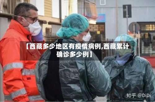 【西藏多少地区有疫情病例,西藏累计确诊多少例】-第2张图片