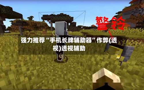 强力推荐“手机长牌辅助器	”作弊(透视)透视辅助-第2张图片